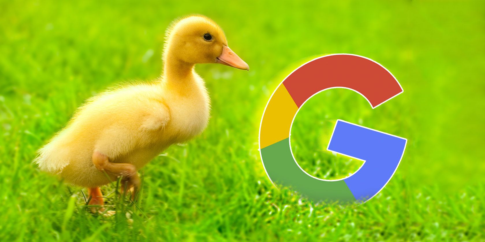 google duck duck go